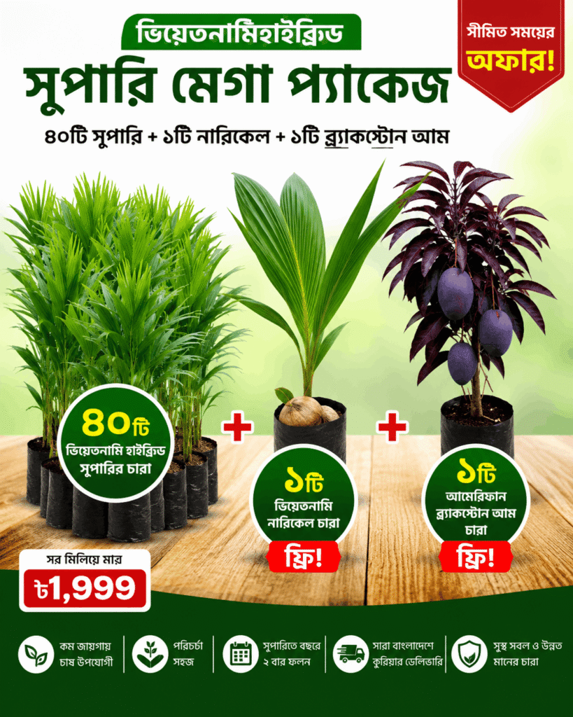 ৪০টি ভিয়েতনামী খাটো জাতের হাইব্রিড সুপারি চারার প্যাকেজ
